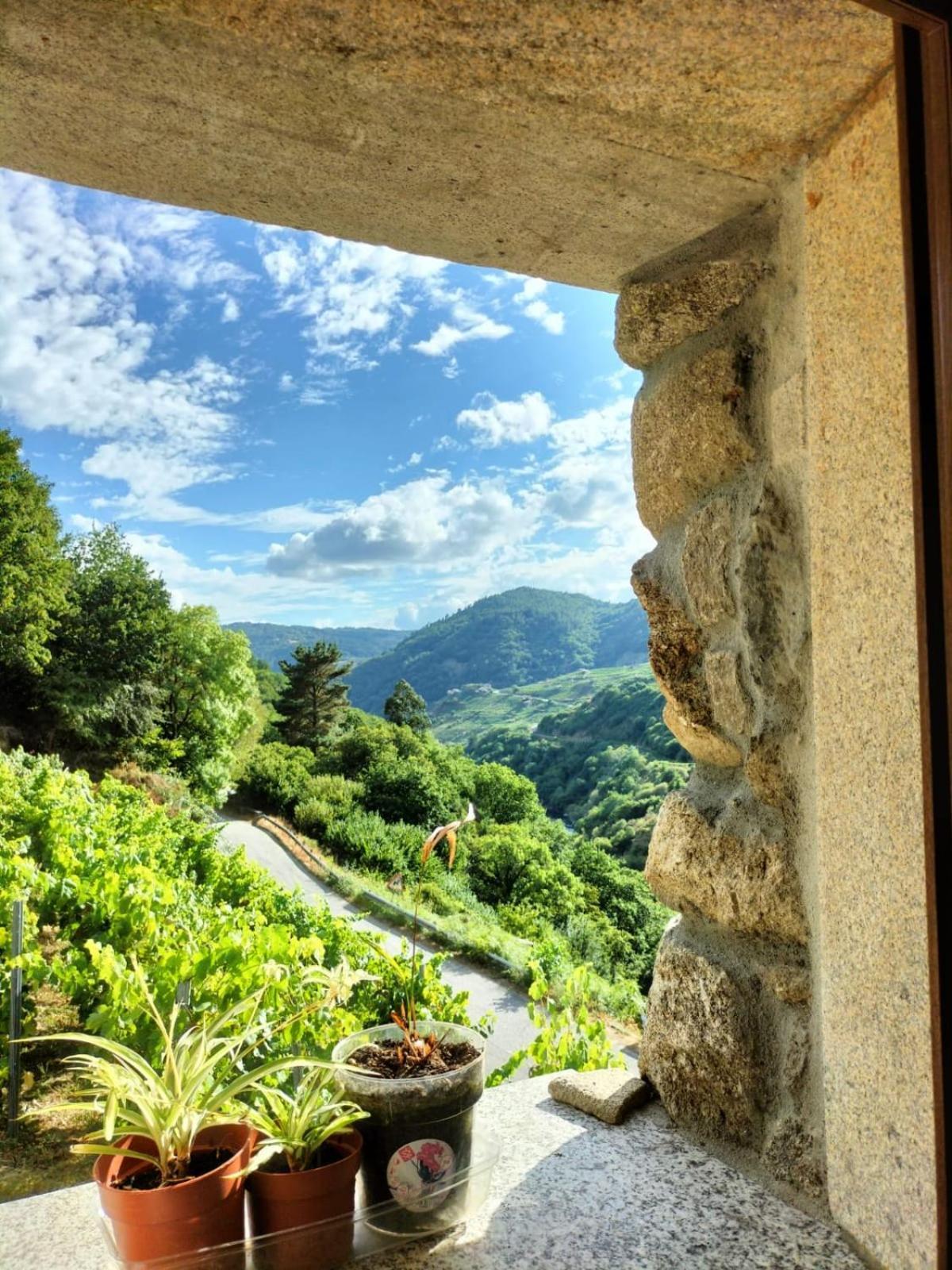 فيلا Quinta De Sito تشانتادا المظهر الخارجي الصورة